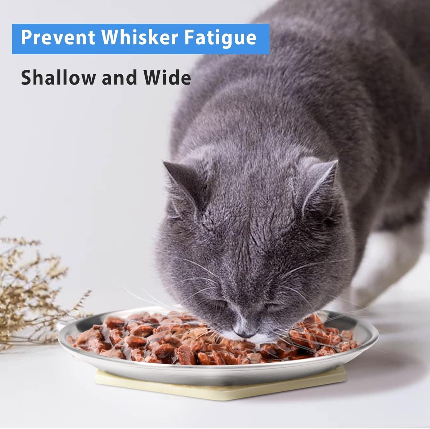Winerstony Stainless Steel Cat Dishes for Food and Water Bowls for Small Pets Relief of Whisker Fatigue - 2 Sets Shallow Style(6.5 Inch, 2Pack) image number 4