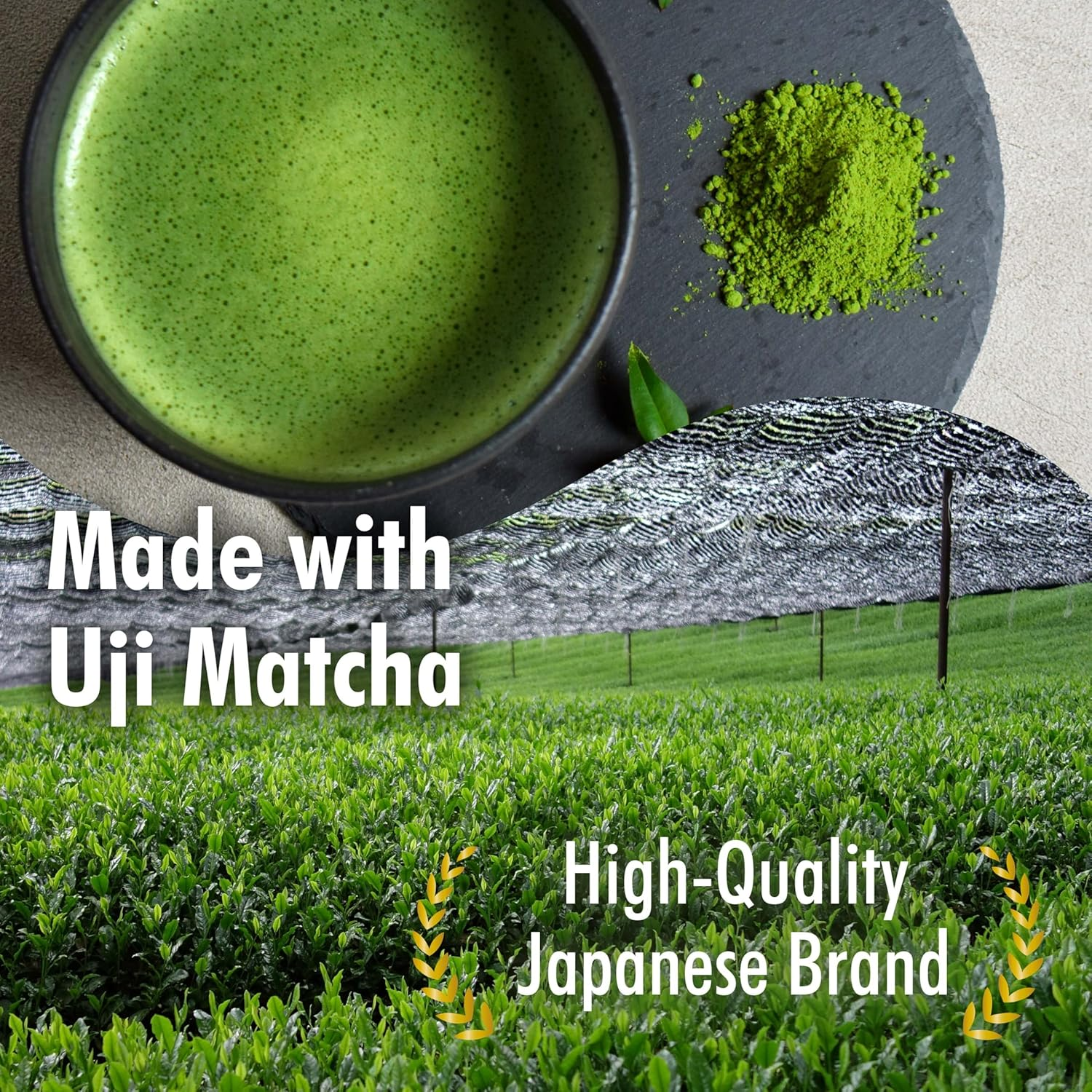 YAMASAN KYOTO UJI Dorayaki Japanese Matcha Sweet Bean Paste Pancake, Traditional Japanese Wagashi Sweets, Cute Mini Size, Matcha Candy, Individually Wrapped, Made in Japan (184G) image number 4