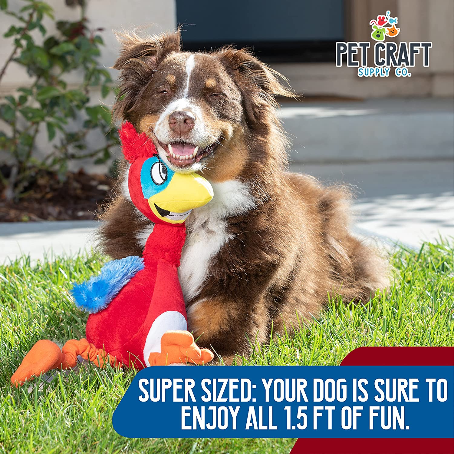 Pet Craft Supply Giggling Puffin & Parrot Multi Pack Interactive Dog Toys with Sound for Large Breed and Small Dogs Soft Chew Plush Dog Toy, Red Black