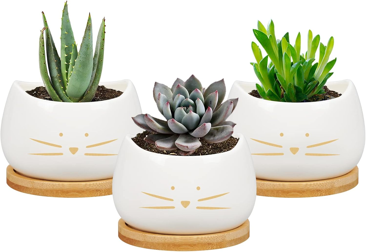 Koolkatkoo 3.2 Inch Cute Cat Ceramic Succulent Planter Pots with Removable Saucer Unique Cactus Planters Porcelain Decorative Flower Pot for Cat Lovers Set of 3 White image number 2