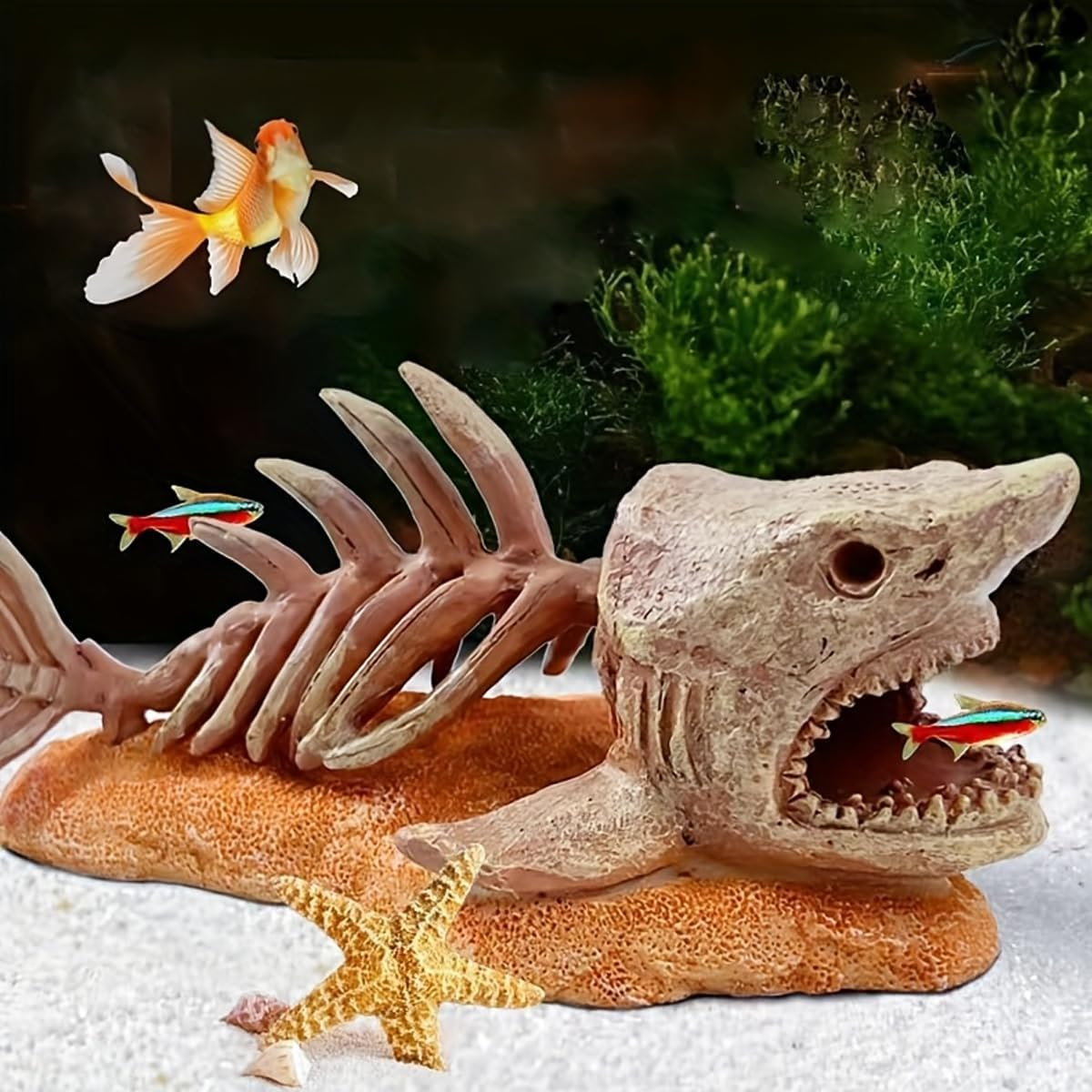 AIMALL Simulation Dinosaur Skull Resin Ornament for Aquarium Fish Tank 3D Rockery Escape Cave Aquatic Landscape Decor Beige Fossil Skull 6.68X3.14X3.14In image number 4