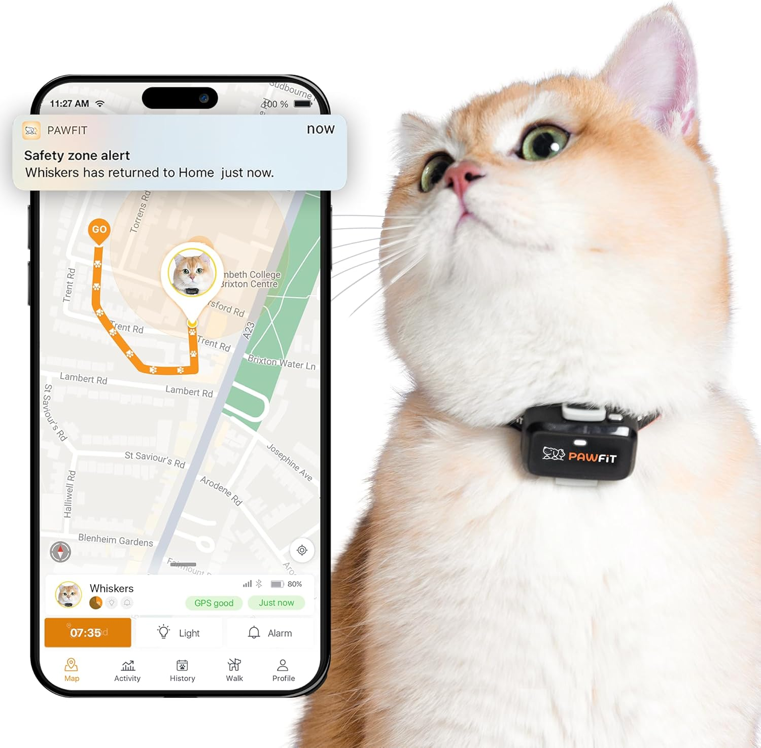 Pawfit Lite for Cats 4G GPS Tracker | Real Time Tracking | Activity Monitoring |Location History | Unlimited Range | Safety Collar Included | Onyx Black image number 2