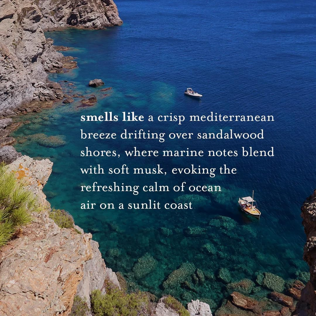 A LA MAISON Liquid Fresh Sea Salt Soap, 16.9 Fl Oz (500Ml)