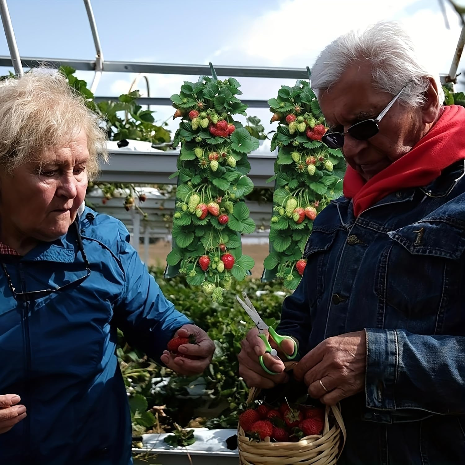 Upside down Strawberries Grow Bags,10 Pack Garden Hanging Strawberry Grow Bag, Hanging Strawberry Planter with Planting Pockets, Hanging Planter for Strawberries,Tomatoes, Chili, Herbs, Vegetables image number 2