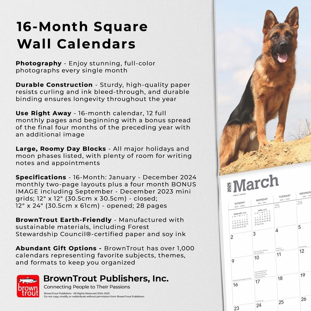 German Shepherds | 2025 12 X 24 Inch Monthly Square Wall Calendar | Plastic-Free | Browntrout | Animals Dog Breeds image number 4