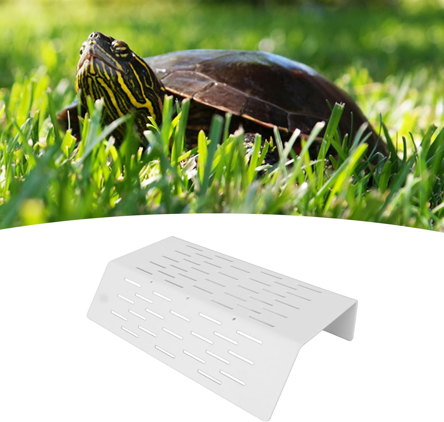 Durable Turtle Tank Platform, Hollowed Steps Resting Dock for Large Amphibians, Reptile Fish Tank Aquarium for Terrariums image number 3