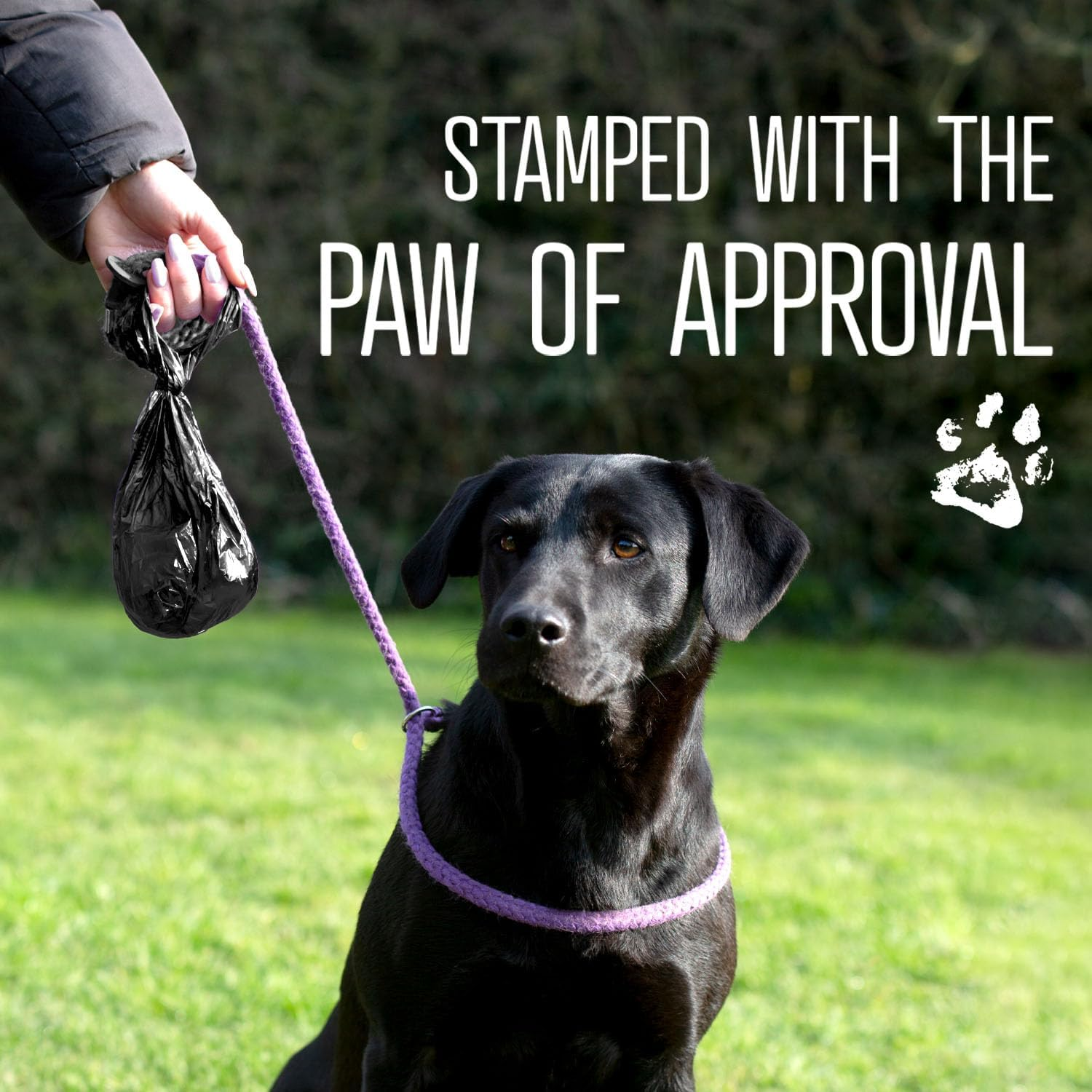 TEDAFUS Dog Poo Bags | 270 Eco Biodegradable Poop Bags | 18 Thick Dispenser Refill Rolls with Tie Handles for Dogs | 15 Strong Bags per Roll | 100% Leak-Proof Unscented Sustainable Sacks (Black) - Purple image number 2