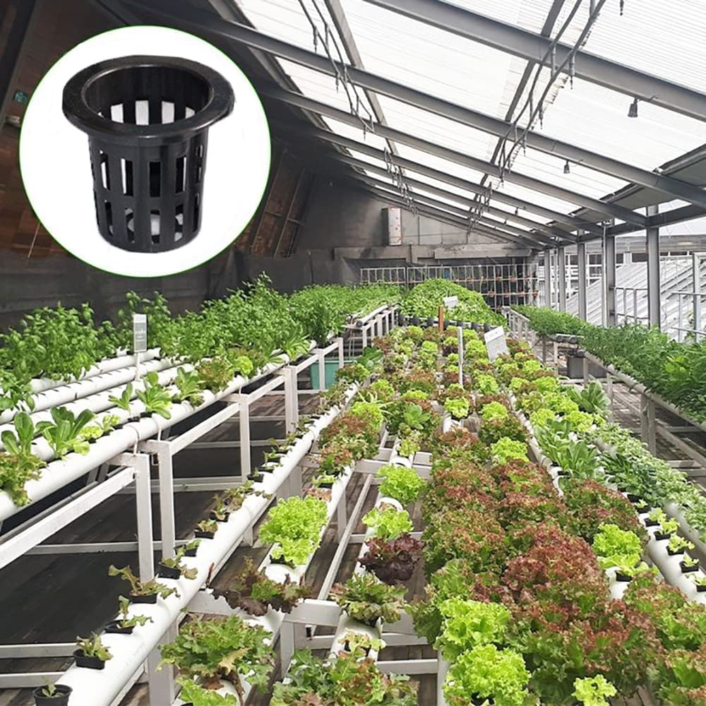 Net Pots 50 Packs Garden Mesh round Net Cups, Duty Wide Lip Bucket Basket Pot Cups Plant Cups for Hydroponic Systems Aquaponics image number 4