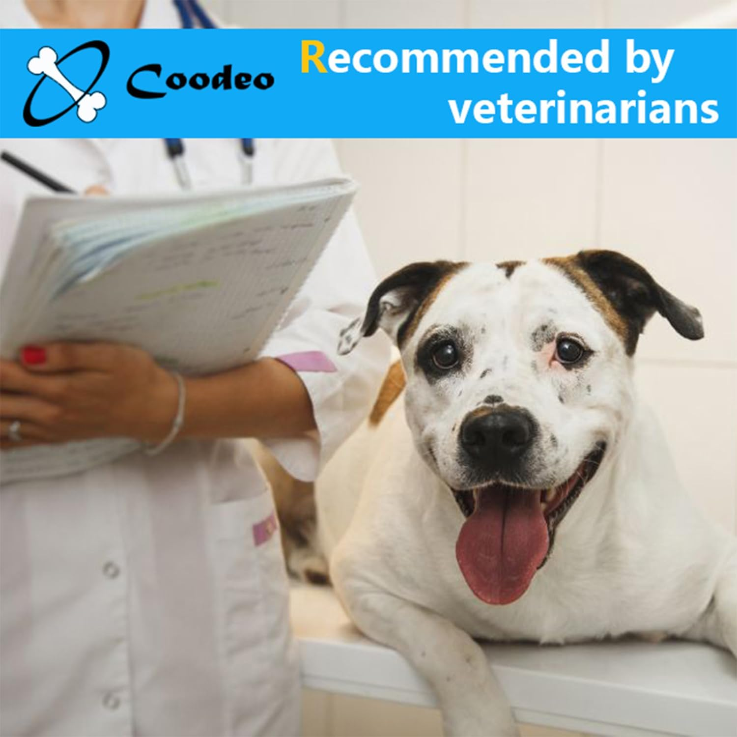 Coodeo Dog Back Brace for Dogs Arthritis, Pet Back Bracer for IVDD, Back Protector Helps Pain Relief, Surgical Recovery and Rehabilitation, Dogs Back Disease Prevention. (Blue,Xx-Large) image number 5