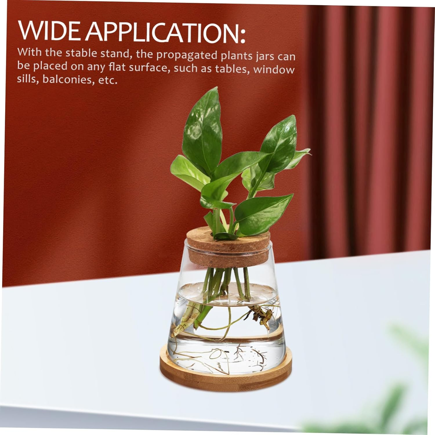 COHEALI 2Pcs Clear Glass Propagation Station with Base Transparent Water Planter Bottles for Hydroponic Plants Compact Vases for Indoor Desk Apartment Office Decoration image number 2