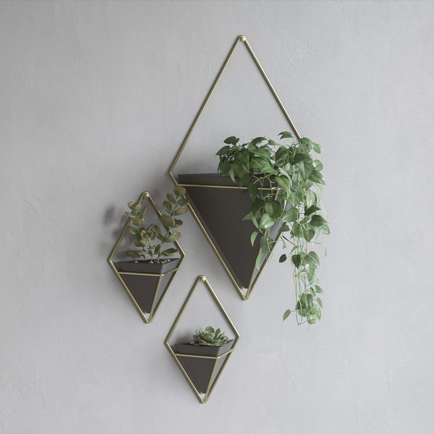 Umbra Trigg Hanging Planter Wall Decor Set, for Displaying Small Plants, Pens and Pencils, Makeup Accessories, Black/Brass image number 1