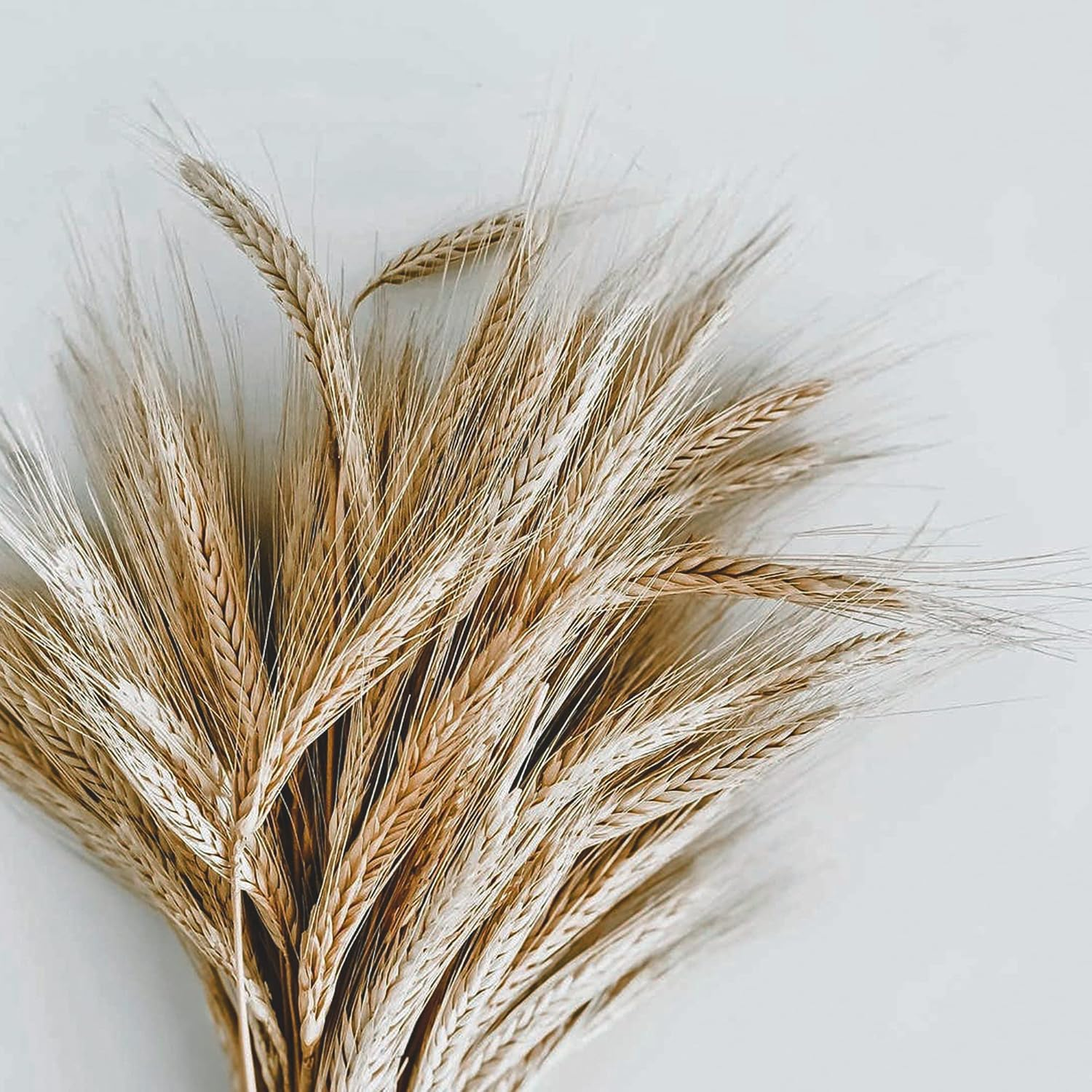 Eco Kyrstal Gel, 8 Ounce.