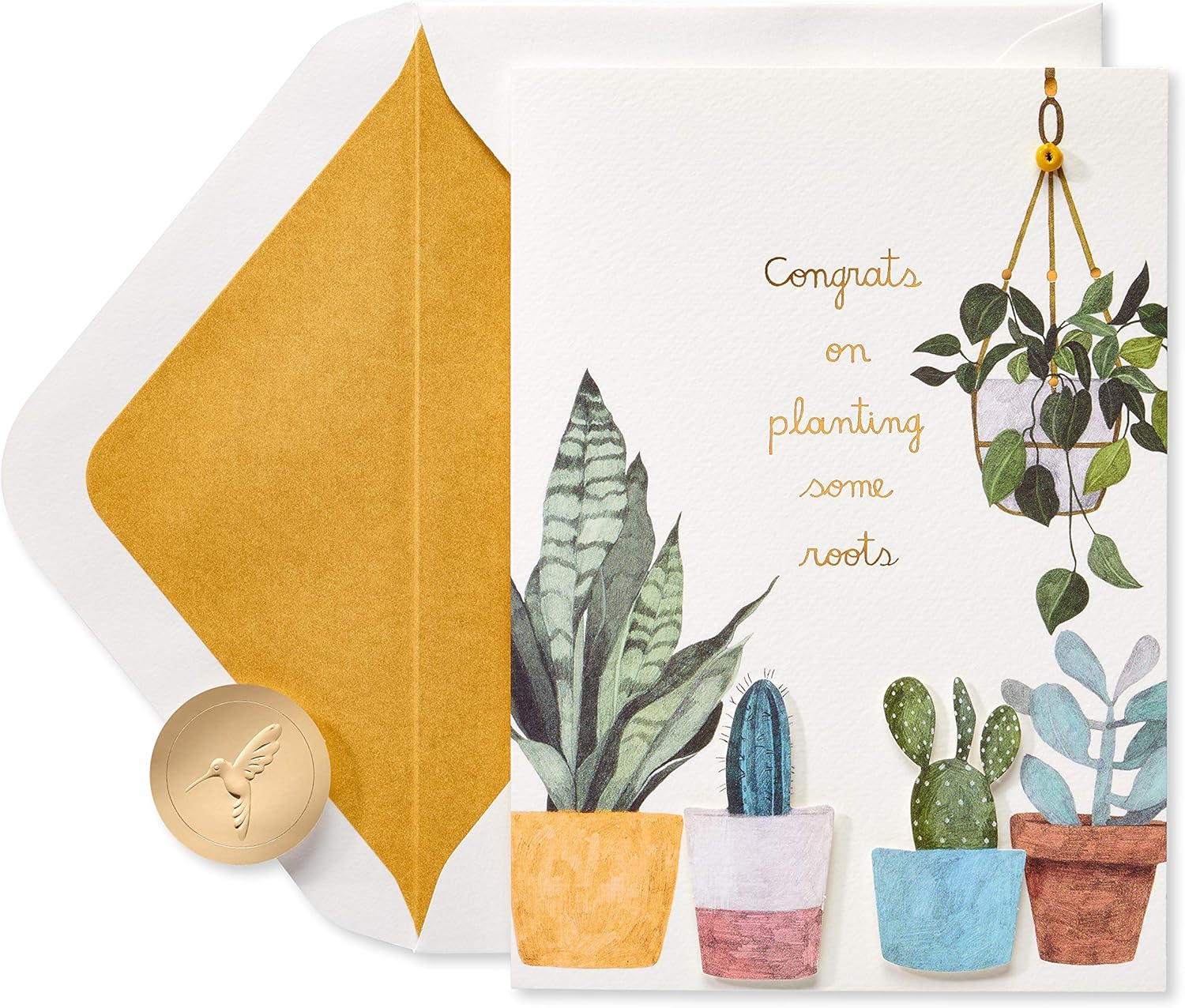 Papyrus Bohemian Thank You Boxed Note Cards, 12-Count