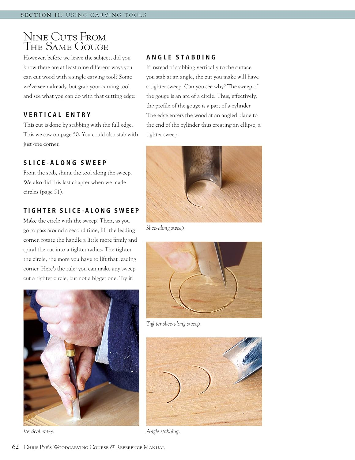 Chris Pye'S Woodcarving Course & Reference Manual: a Beginner'S Guide to Traditional Techniques image number 3
