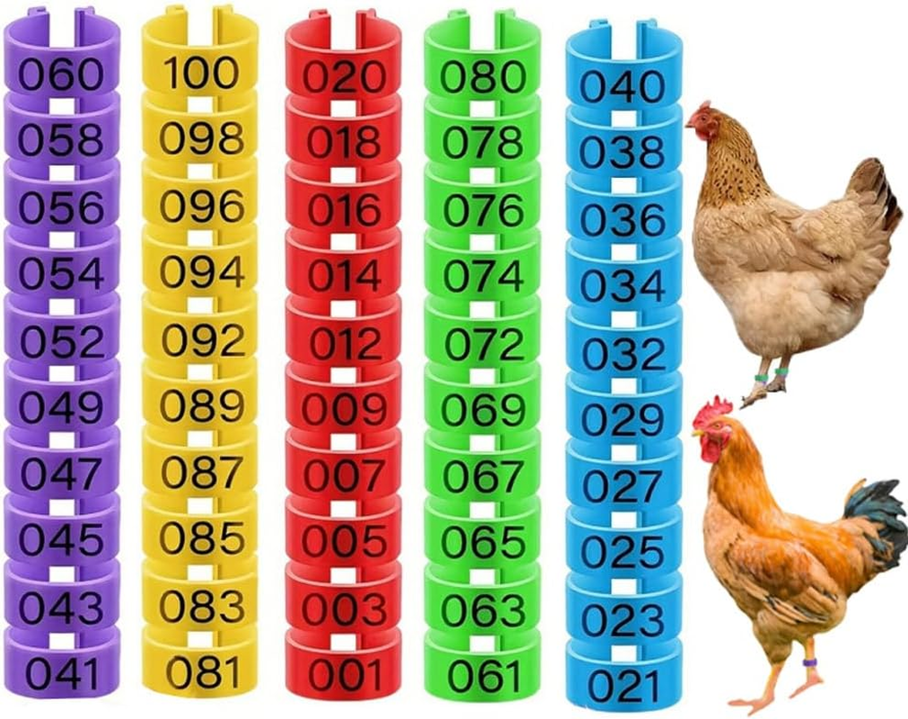 100Pcs Clip on Leg Rings Band Foot, 16Mm Chicken Leg Bands, 001-100 Numbered Pigeon Foot Rings Birds Tags Leg Bands Clip, 5 Colors Numbered, for Poultry Legs,Gamefowl,Ducks,Goose, Bird Identification image number 4