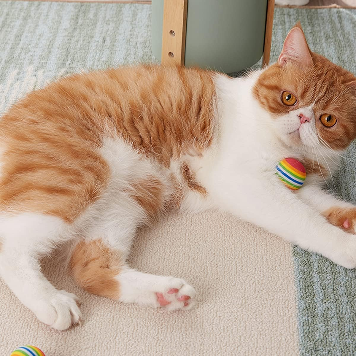 NC Cat Toys Balls,Regerly 20Pcs Pet Cat Dog Toy Balls Rainbow Soft Foam Balls for Small Dogs Puppies Puppy Kitty Quiet Indoor Outdoor Play Activity Chase Training image number 5