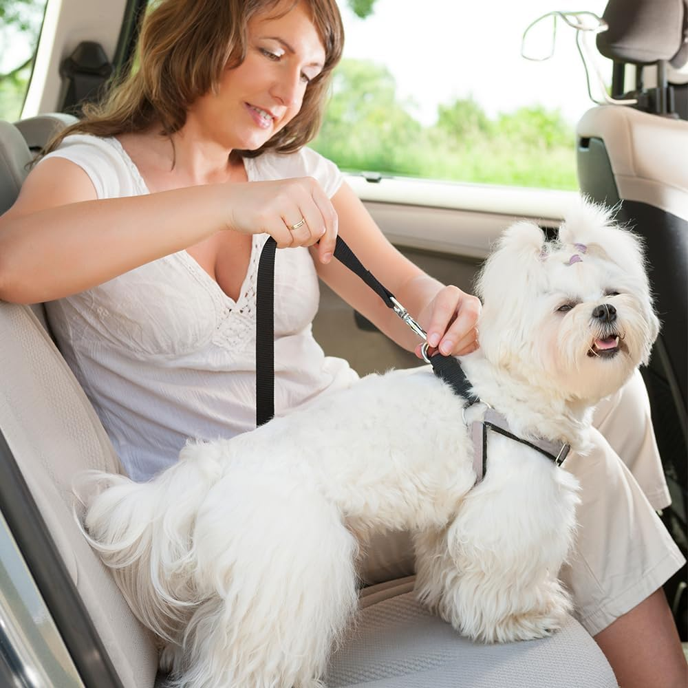 Ram&reg; 2 X Dog Car Seat Belts 70CM Adjustable Car Seatbelt Harness Strap for Dogs Cat Travel Strong Durable Clip on Pet Travel Seat Belt image number 2