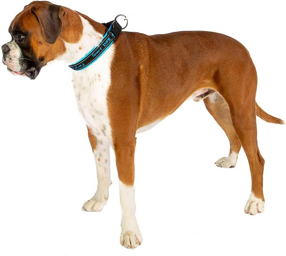 Ferplast Dog Training Collars