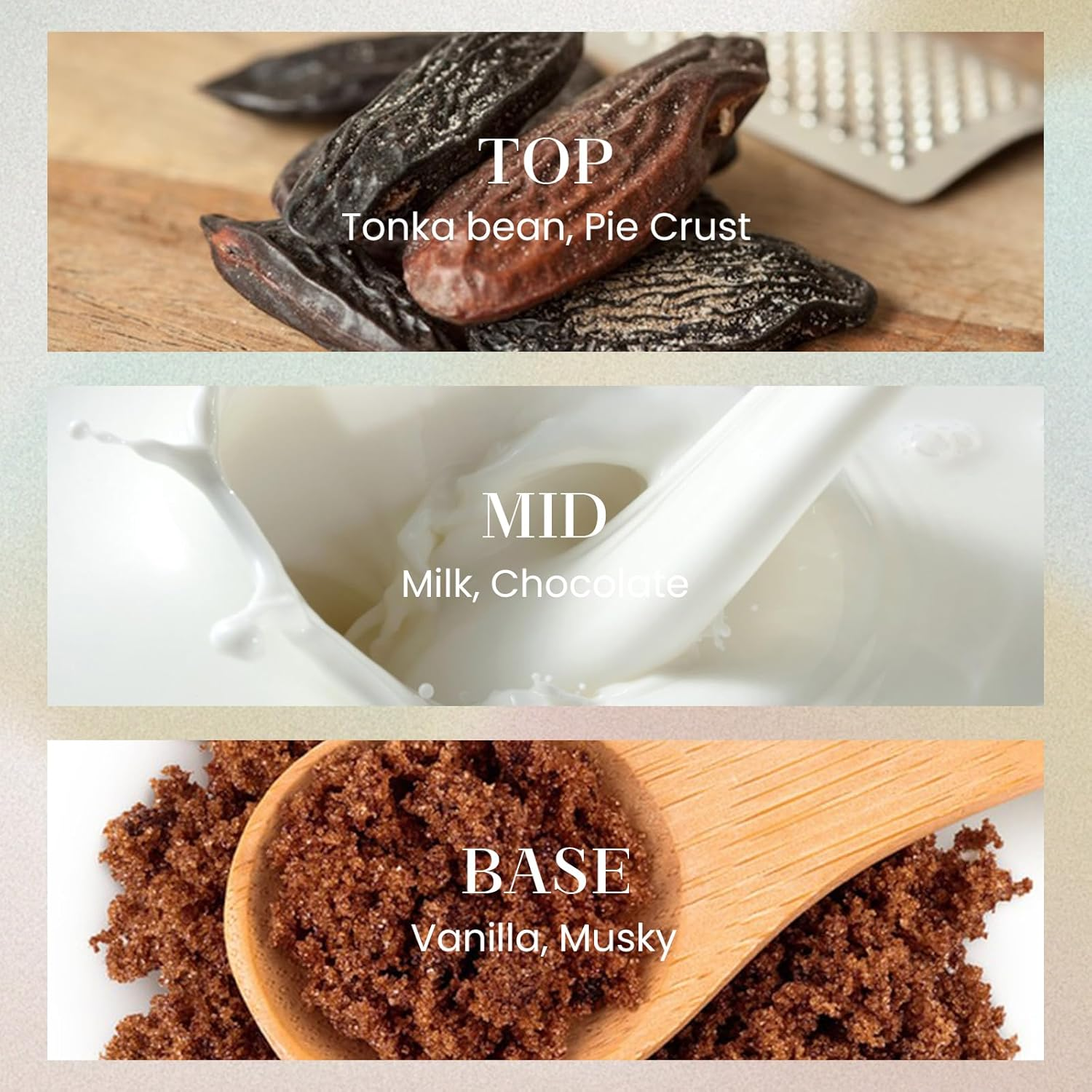 M&SENSE 6.3 Oz Large Reed Diffuser Set,Creamy Vanilla Scent Oil Diffuser with Sticks,Bedroom Bathroom Living Room Decor image number 2