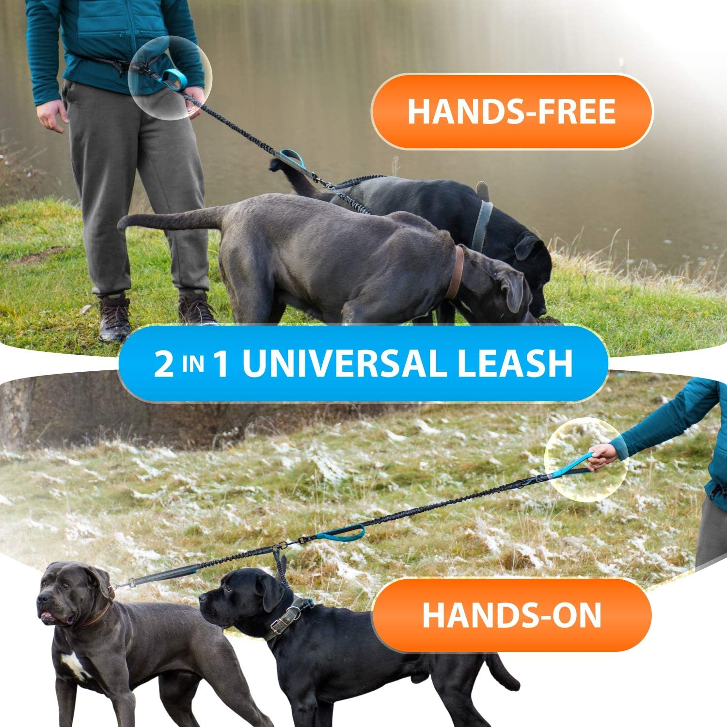 Sparklypets Hands Free Double Dog Leash &ndash; Dual Dog Leash for Medium and Large Dogs &ndash; Dog Leash for 2 Dogs with Padded Handles, Reflective Stitches, No Pull, Tangle Free Blue
