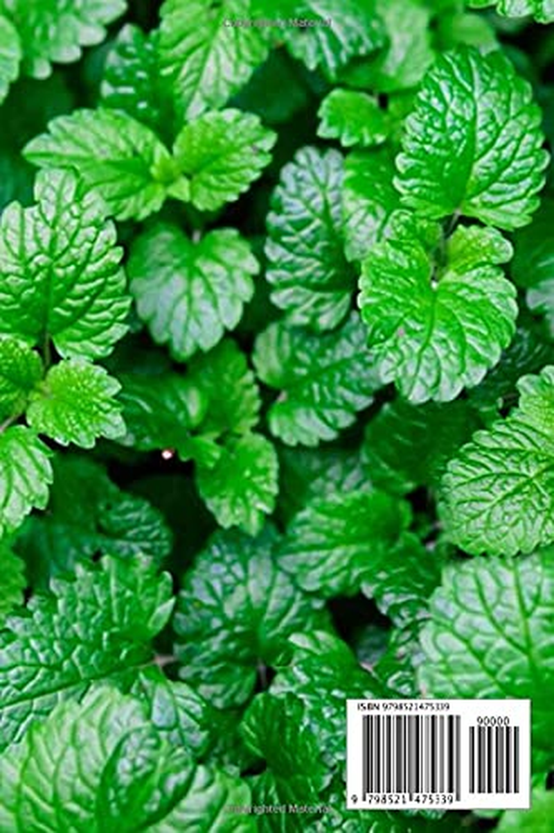 How to Successfully Grow Herbs: a Field Guide to Planting: Grow Herbs Guide image number 1