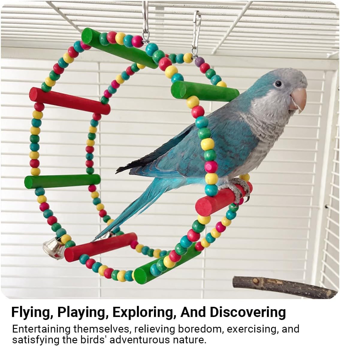 AIMALL Parrot Swing Wooden Bird Toy, 11.02&times;8.66In Multi-Functional Colorful Decorative Stand &ndash; Pine Wood with Bells for Parrot Cage, Bird Supplies image number 2