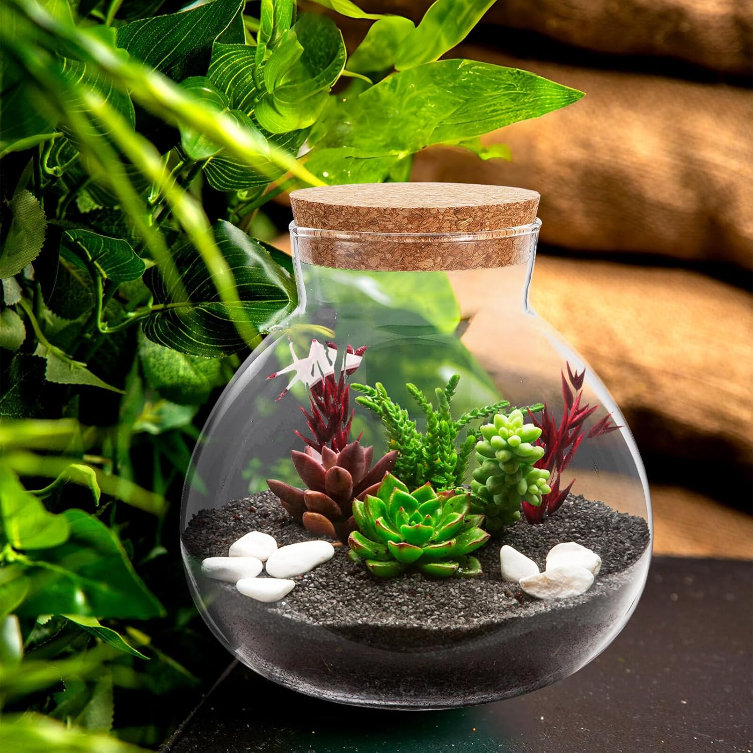 Kisangel Glass Plant Terrarium Jar, Micro Landscape Terrarium with Wood Lid, Tabletop Succulent Planter DIY Planterdecor for Craft image number 4