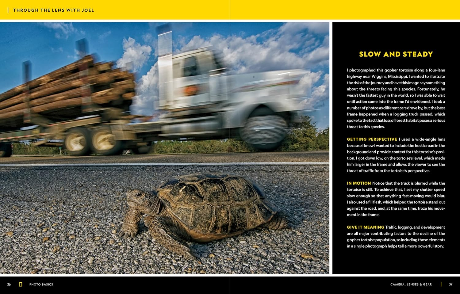 National Geographic Photo Basics: the Ultimate Beginner'S Guide to Great Photography image number 1