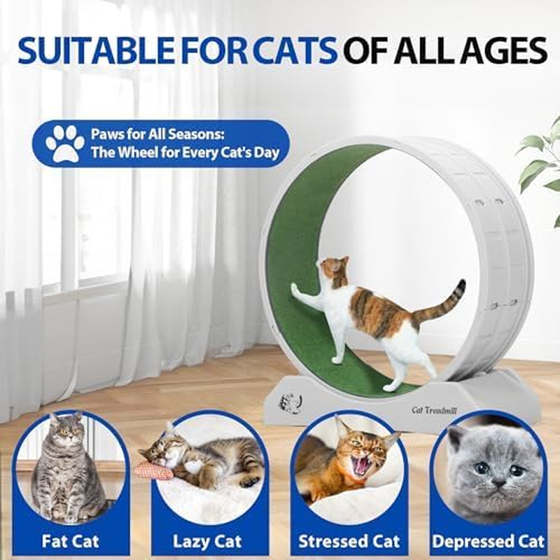 Cat Wheel Exerciser Cat Treadmill Cat Wheels for Indoor Cats Exercise Wheel Indoor Cat Running Wheels for Indoor Cats Grey