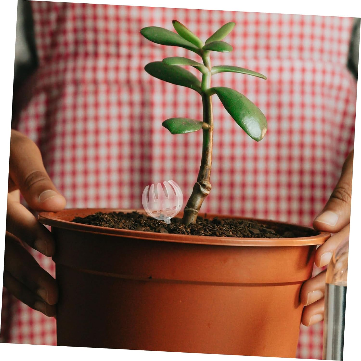 Kisangel 15Pcs Plastic Bonsai Fertilizer Baskets for Planting Fertilizers Gardening Accessories for Bonsai Tree Care image number 3