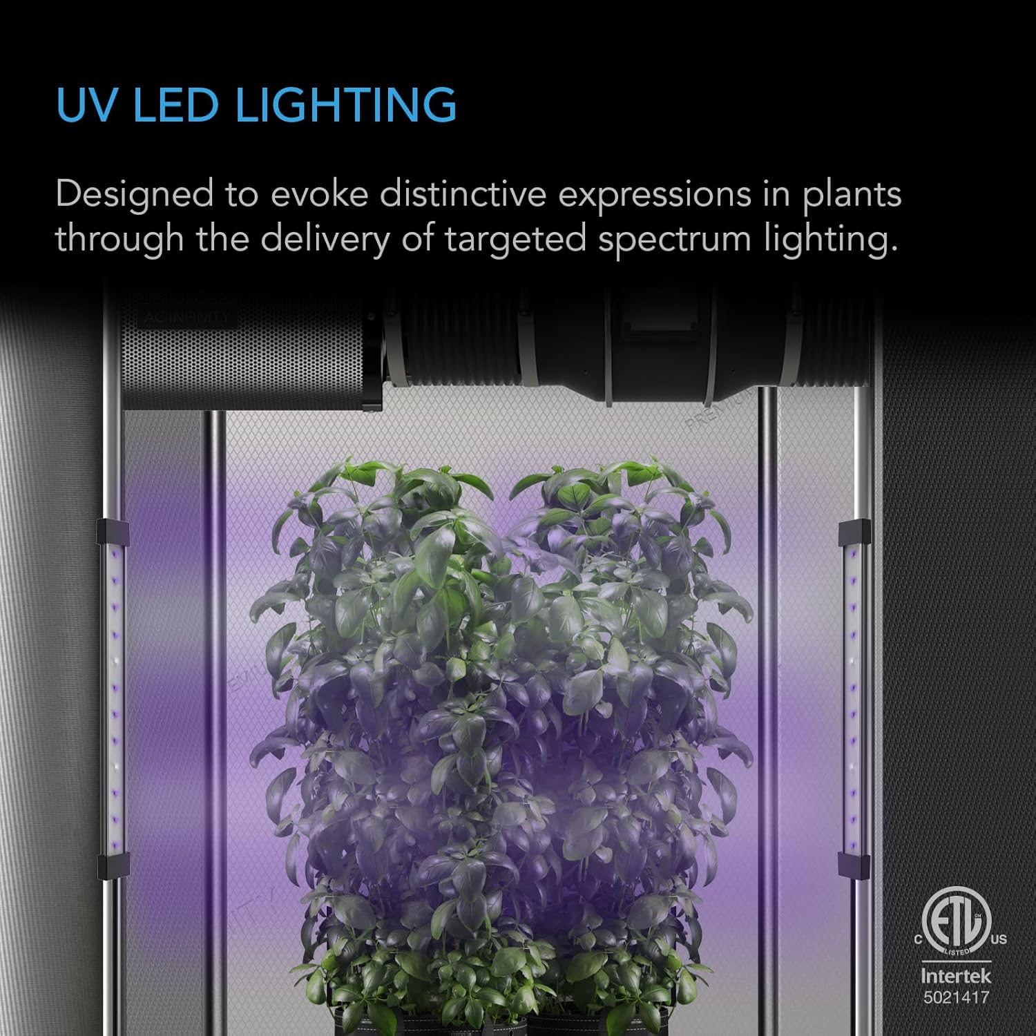 AC Infinity IONBEAM U2, Targeted Spectrum UV LED Grow Light Bars 11&rdquo;, 2-Bar Lighting Kit with 365Nm and 395Nm Diodes, Digital Dimming Schedule Controller, for Indoor Plants, Grow Tents, Greenhouses image number 4