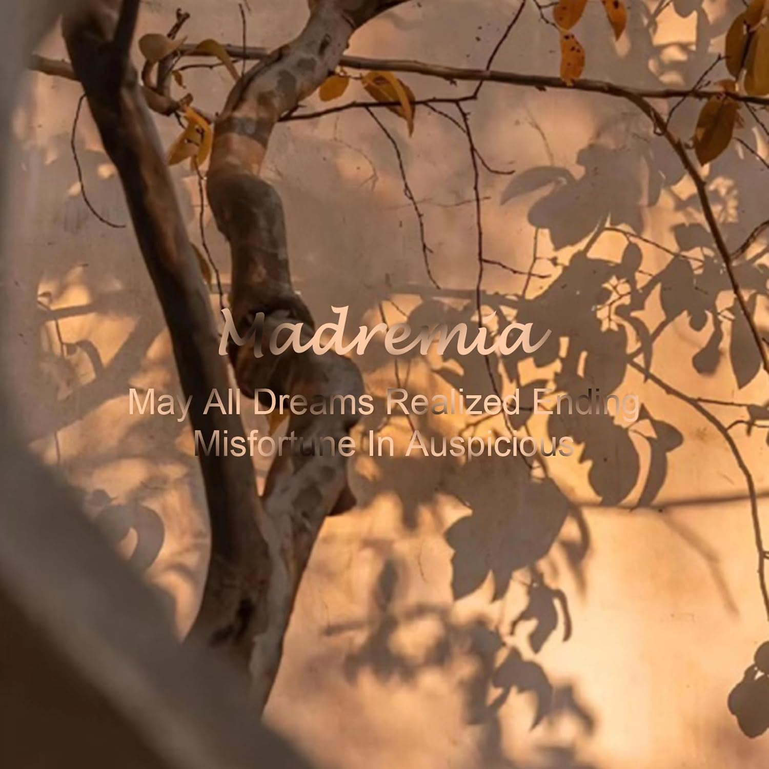 Dual Voltage Hair Dryer Travel Hair Brush , Hair Curler Small Hair Straightener Brush with European Plug Adapter for International Travel, 5 in 1 Hot Air Styler & Dryer for Drying Straightening Curl Brush image number 4