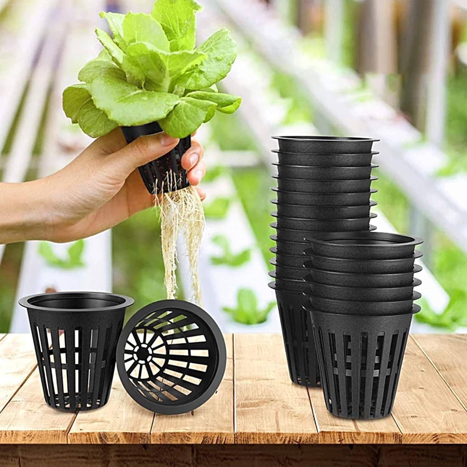 Yharnamite 50 Pcs Garden Slotted Mesh Net Cups, 2" round Hydroponic Net Pots Cups, Wide Lip Bucket Basket for Hydroponics for Hydroponics & Aquaponics, Indoor and Outdoor Plant Growth (Black-50) - Black-50 image number 6