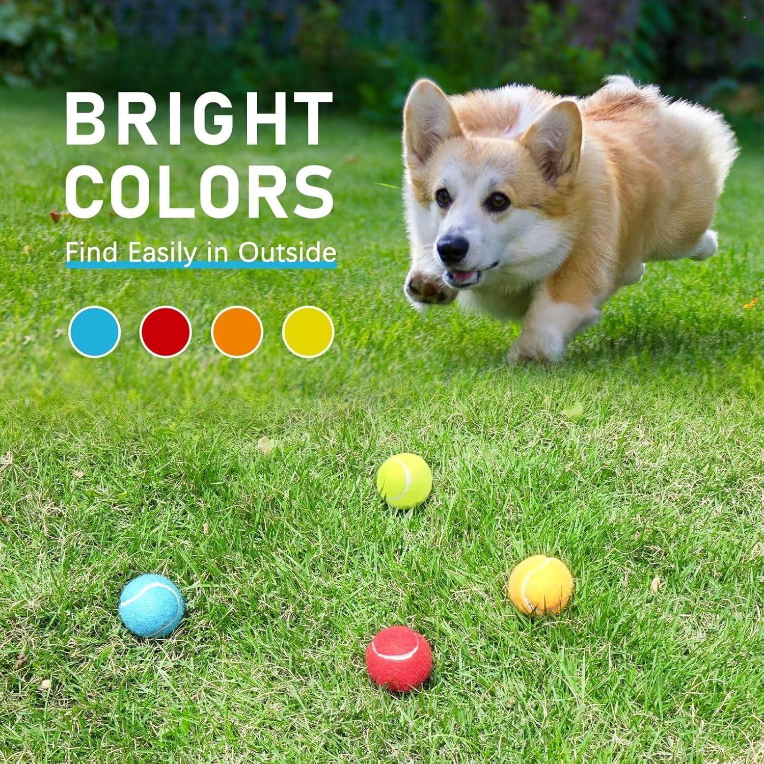 Prime Pets 2" Squeaky, High Bounce Dog Toy Balls, 4 Pack Multi-Color, Extra Small Dogs image number 3