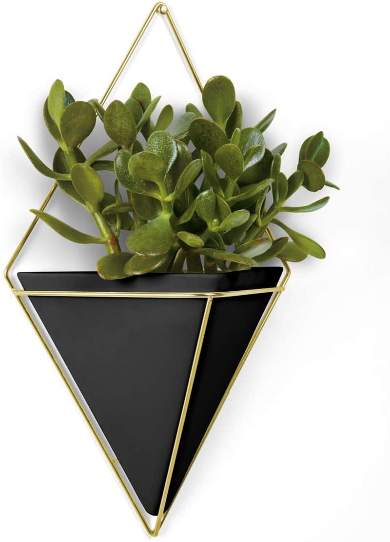 Umbra Trigg Hanging Planter Wall Decor Set, for Displaying Small Plants, Pens and Pencils, Makeup Accessories, Black/Brass