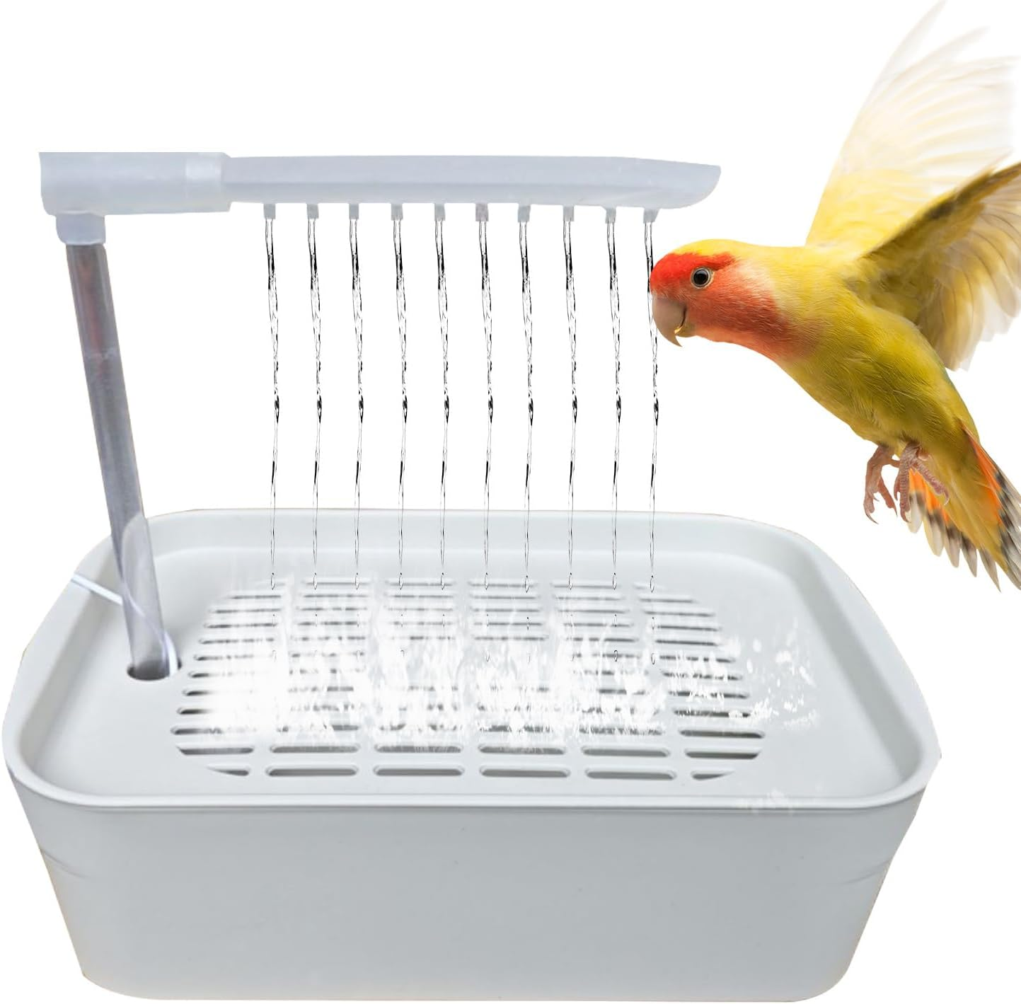 Parrot Bath - Easy to Asѕ Bird Shower Bath | Electric Parrot Bathtub | Automatic Pet Bird Shower | Parroț Bathing Artifact or Both Home Pets and Professional Breeding Environments - White image number 6