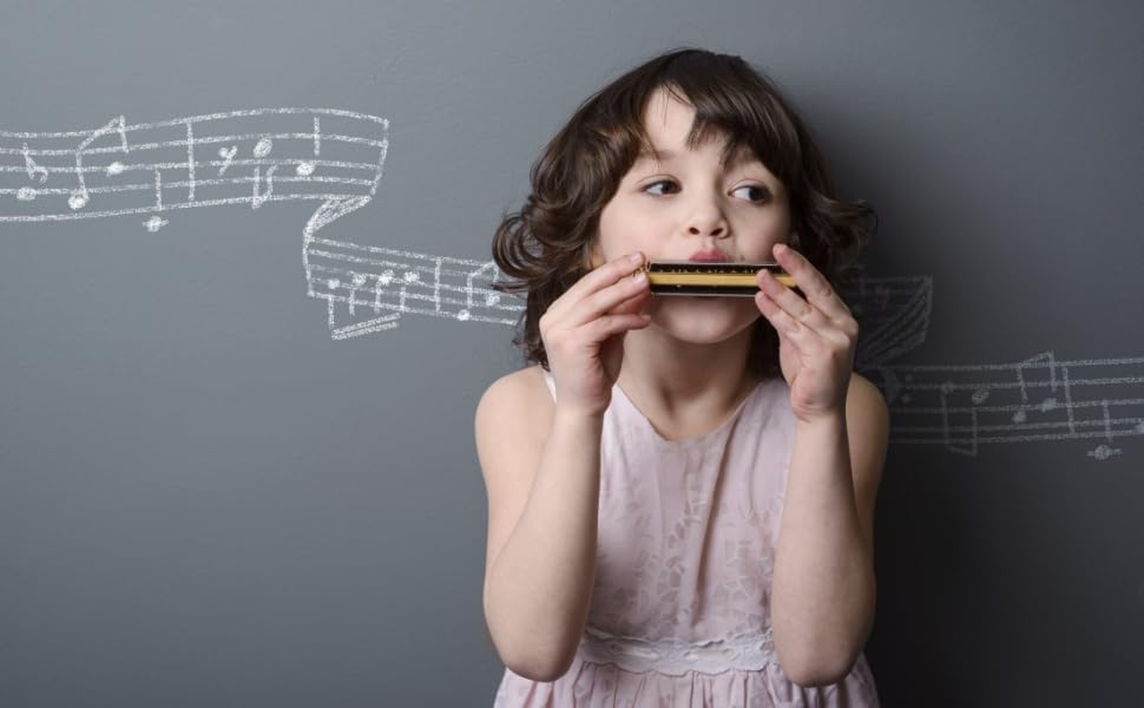 House of Marbles Advernturer'S Campfire Metal Harmonica Instrument in the Key of C Major, an Easy Diatonic Musical Scale Mouth Organ in Stainless Steel, for Beginners to Professionals Musicians image number 3