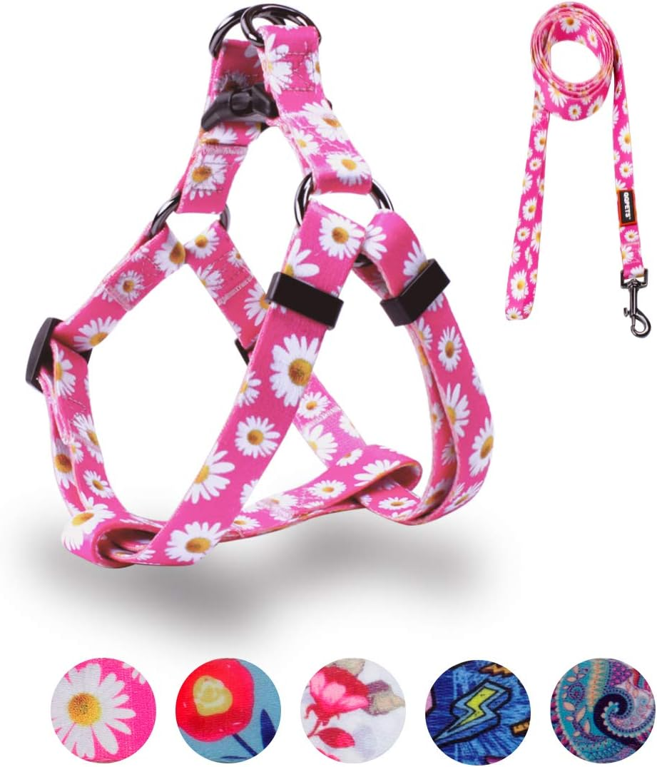 QQPETS Dog Harness Leash Set Adjustable Heavy Duty No Pull Halter Harnesses for Small Medium Large Breed Dogs Back Clip Anti-Twist Perfect for Walking (S(14"-20" Chest Girth), Daisy) image number 4