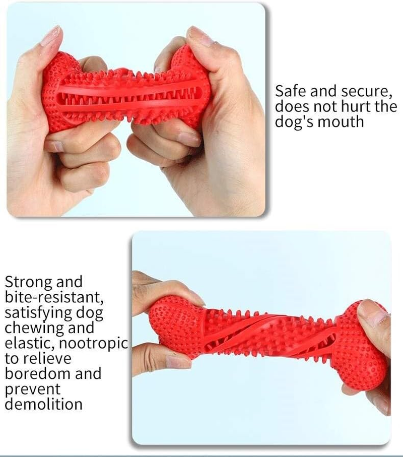 Patchy'S Pets Puppy and Dog Toothbrush Dental Chew Toy Bone, Teeth Cleaning, Teething, Soft Flexible Durable Rubber Dog Toys, Small Treat Holder, Puppy and Small Breeds, Non Toxic (Green) image number 5