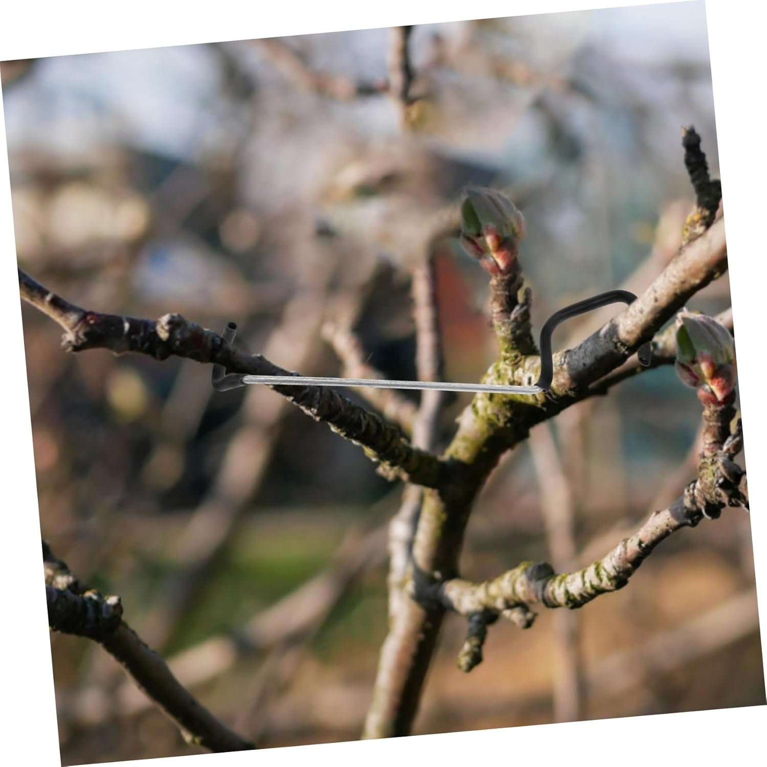 Tofficu 20Pcs Tree Branch Pullers Twig Bending Clips for Plant Support Durable Stem Trainers for Indoor Outdoor Use for Fruit Trees Seedlings image number 2