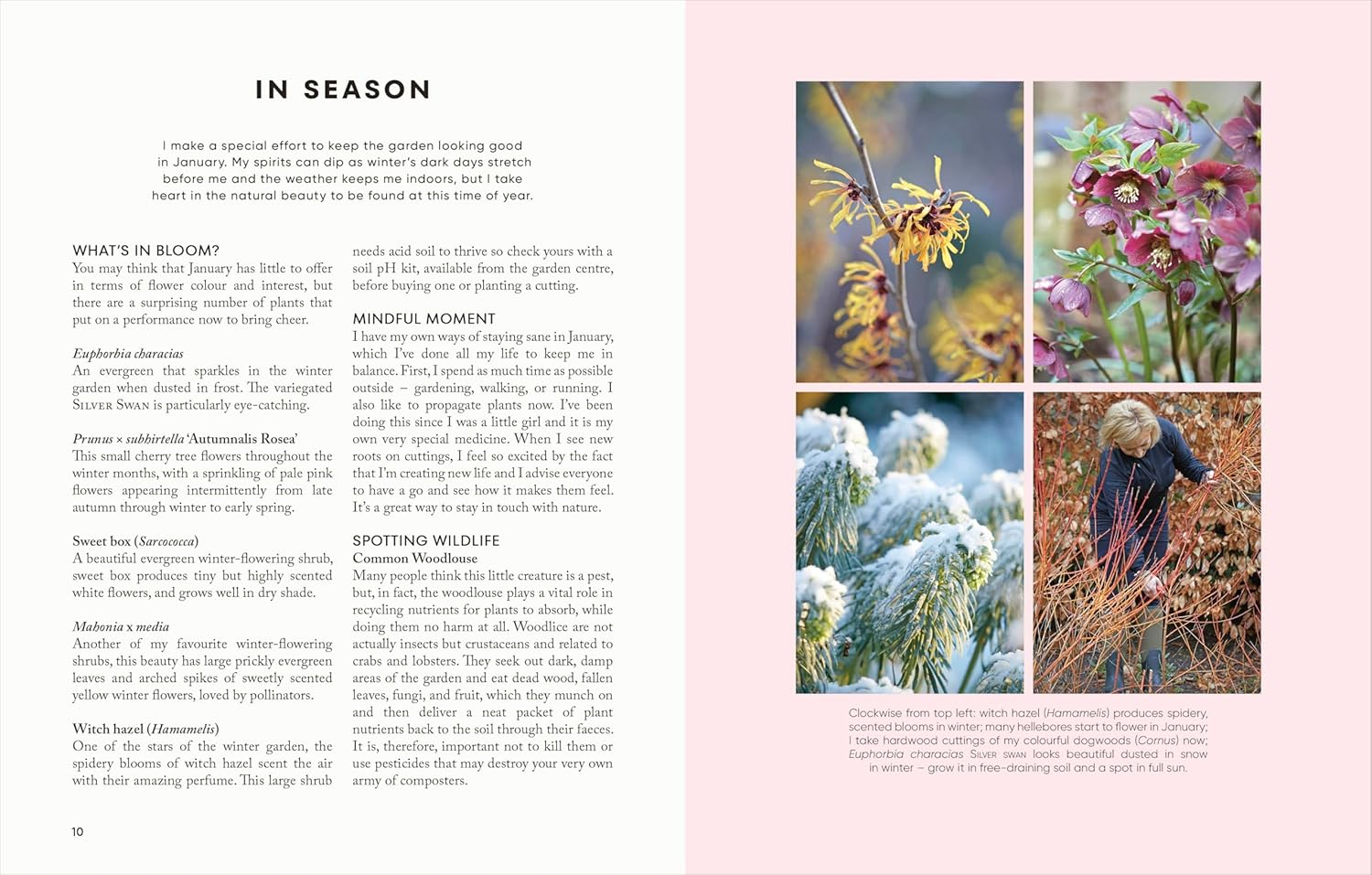 The Money-Saving Garden Year: a Month-By-Month Guide to a Great Garden That Costs Less image number 4