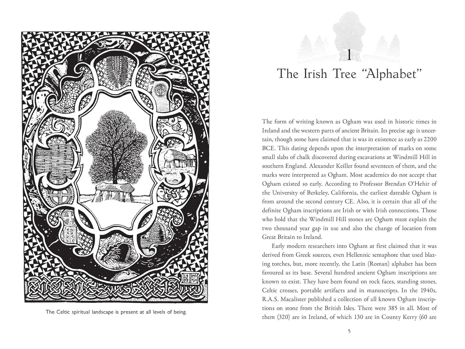 Celtic Tree Alphabets: Mystic Signs and Symbols of Ogham and Coelbren image number 2