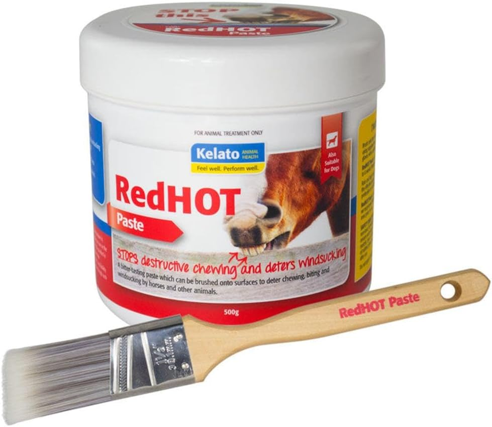 Red Hot Paste 500G