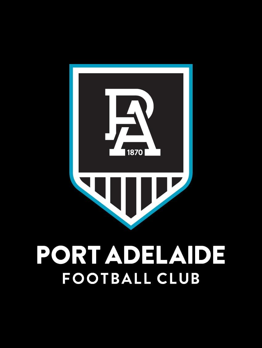 2X Official AFL Port Adelaide Car Number Plate Frame Cover Surround