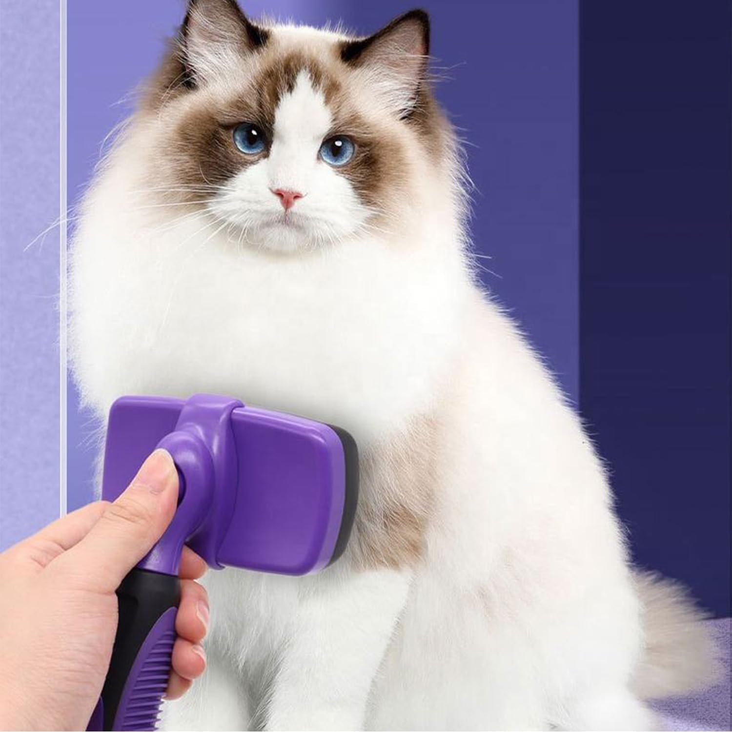 PHCOMRICH Self Cleaning Slicker Brush for Dogs& Cats, Skin Friendly Grooming Brush Grooming Tool for Dogs & Cats, Deshedding Pet Supplies Accessories (Purple) - Purple image number 5