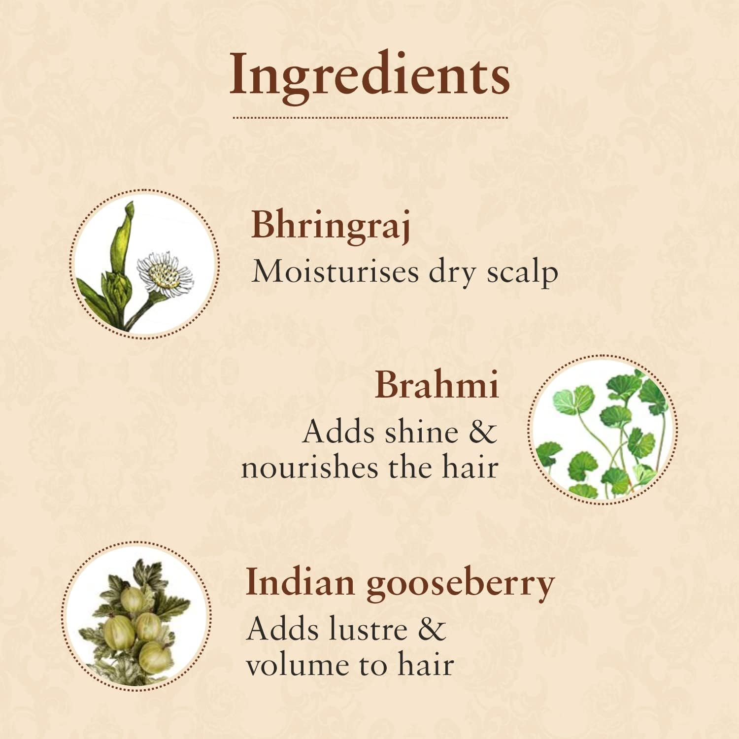 Just Herbs Bhringraj Tail, 100Ml