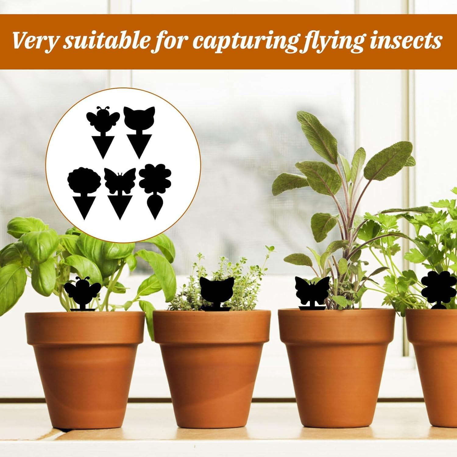 Fruit Fly Trap Indoor, Gnat Sticky Trap, 50 PCS Fruit Fly Traps for Whiteflies Mosquitos Fungus Aphids Leafminers, Gnat Trap for Indoor Outdoor Use Protect the Plant, Pest Control(Black)