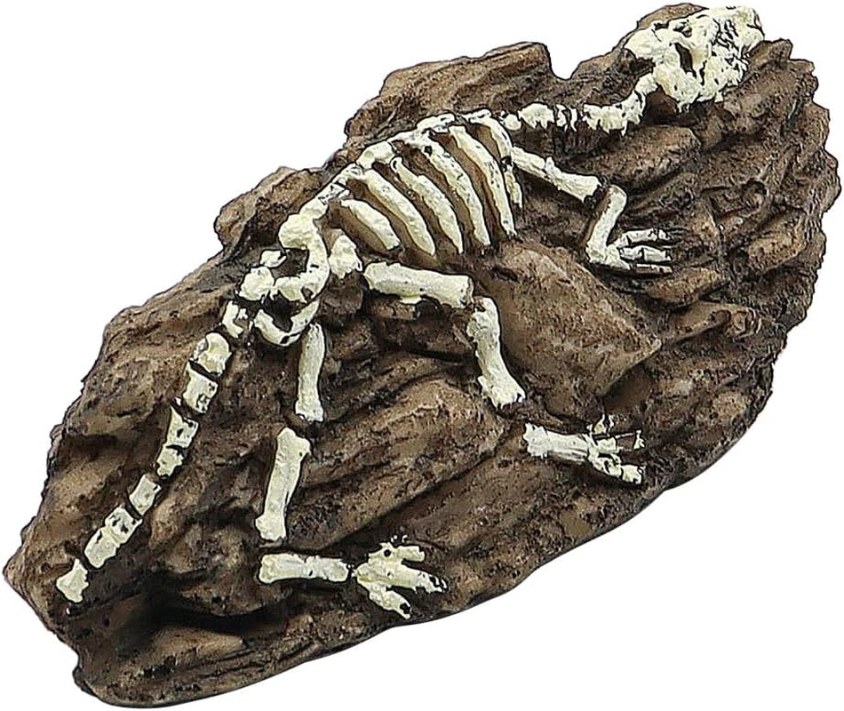 NUZAMAS Aquarium Dinosaur Fossil Decoration Dinosaur Ornaments Reptile Shelter Artificial Dinosaur Hideout Cave Landscape Fish Tank Decoration Landscape Hiding House image number 5