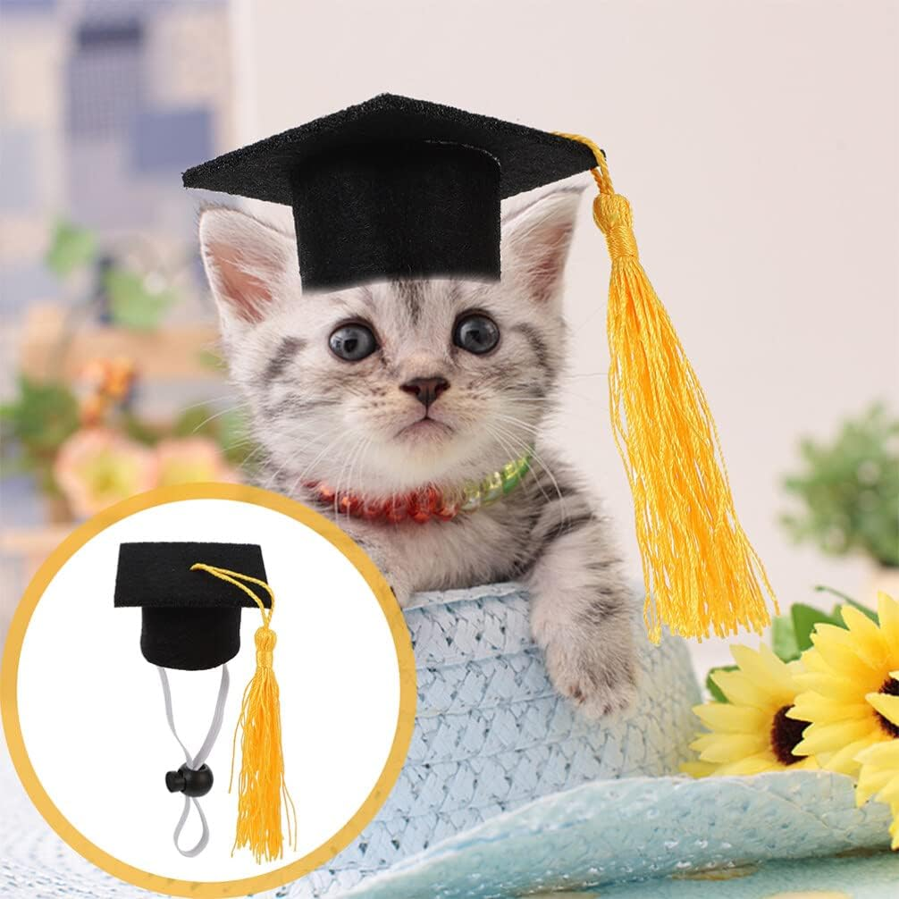 2Pcs Set Elastic Doctorial Hat Cap and Gown 2023 Party Supplies Cat Graduation Costume Miniature Dogs Doctoral Hats Cat Hat Doll Party Dog Clothing B04 Shawl Felt Cloth Chic - Blue image number 2