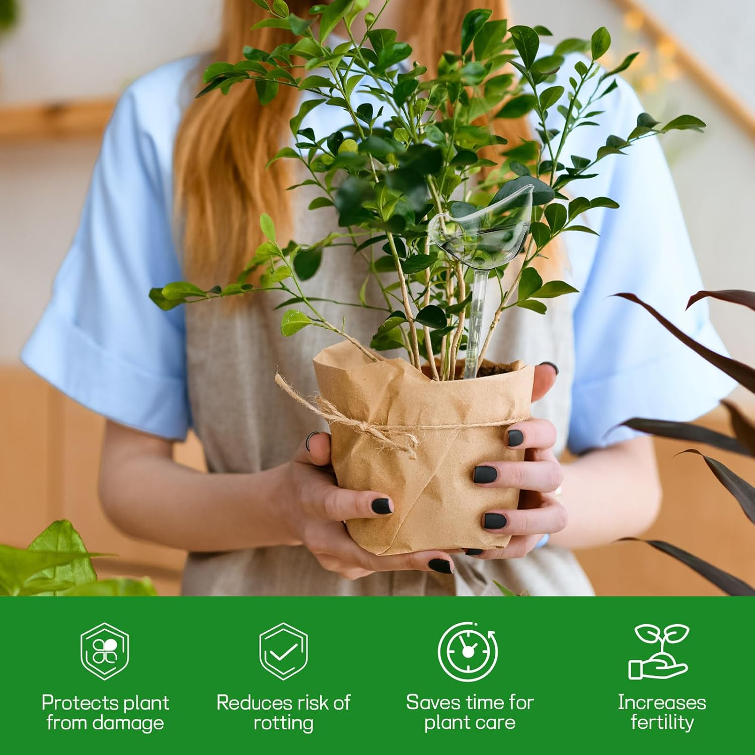 6Pcs Self Watering Globes for Indoor Plants, Self Watering Planter Insert, Self Watering Devices for Plant Lovers (Transparent+Lake Blue+Green) image number 2